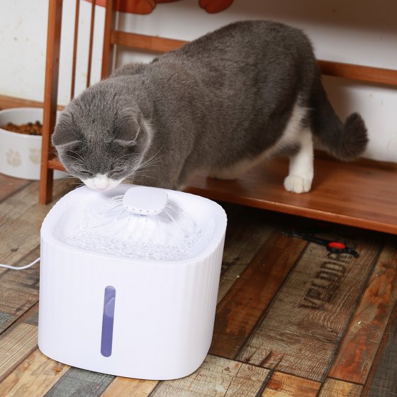 Fontaine à eau automatique pour animaux de compagnie 