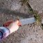 Couteau de jardin japonais  "Hori Hori" - 3